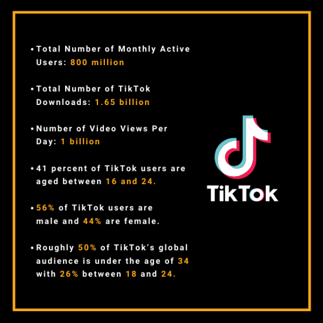 How Can Businesses Use TikTok 